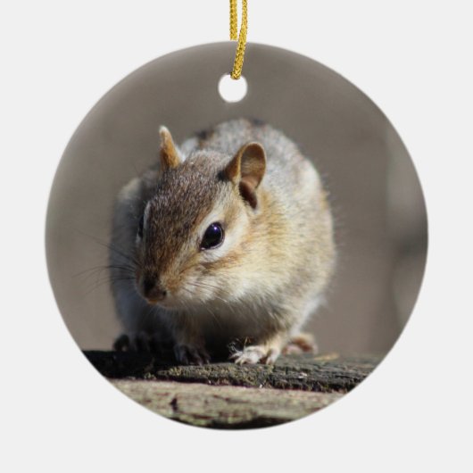 Chipmunkverzierung Keramikornament (Vorne)