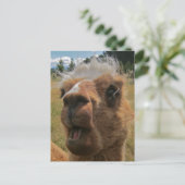 Chipper Alpaca Postkarte (Stehend Vorderseite)