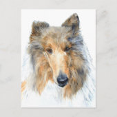 Chipper - Collie Postcard Postkarte (Vorderseite)