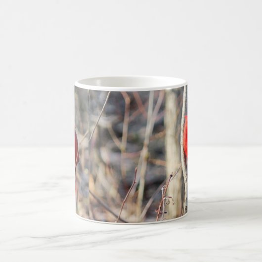 Chipper Kardinal Perch Tasse (Mittel)