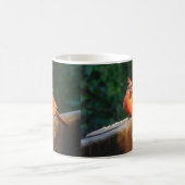 Chipper Kardinal Tasse (Mittel)