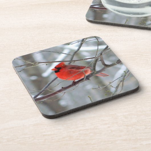 Chipper Winter Kardinal Getränkeuntersetzer (Linke Seite)