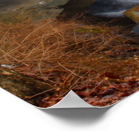 Chippewa Creek Falls im Cleveland Metro Parks Poster (Ecke)