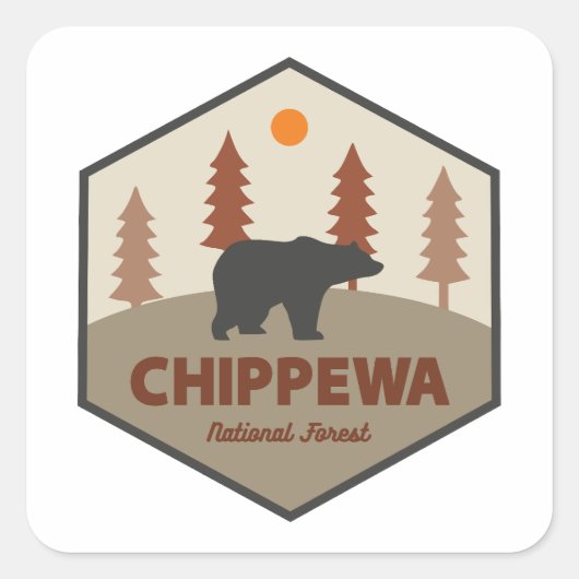 Chippewa National Forest Minnesota Bear Quadratischer Aufkleber (Vorderseite)