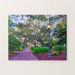 Chippewa-Platz Savannah Puzzle
