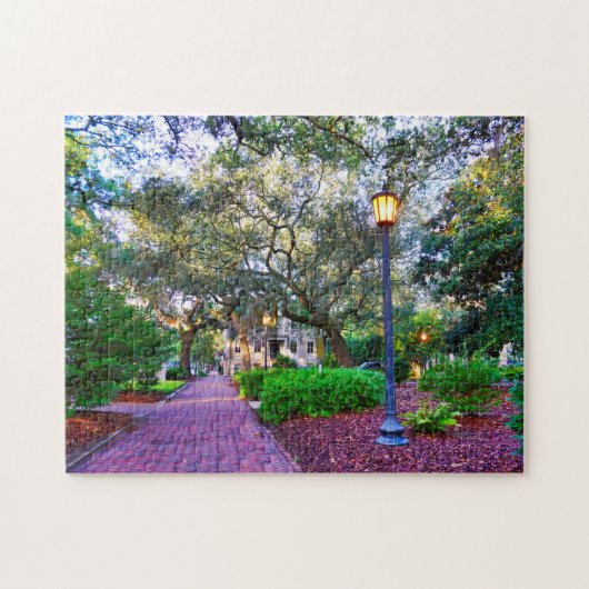 Chippewa Square Savannah Puzzle (Horizontal)