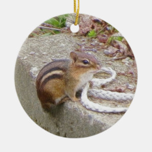 Chippie der Chipmunk forscht ein Seil nach Keramikornament