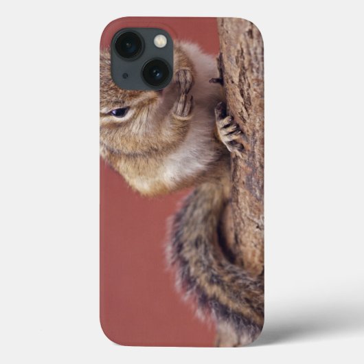 Chippie iPad Case (Rückseite)