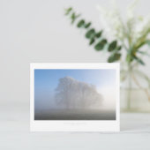 Chipping Campen Postkarte (Stehend Vorderseite)