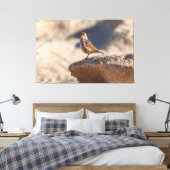 Chipping Sparrow auf dem Felsen Leinwanddruck (Insitu (Schlafzimmer))