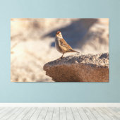 Chipping Sparrow auf dem Felsen Leinwanddruck (Insitu (Holzboden))