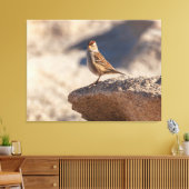 Chipping Sparrow auf dem Felsen Leinwanddruck (Insitu (Wohnzimmer))