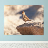 Chipping Sparrow auf dem Felsen Leinwanddruck (Insitu (Holzboden))