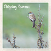 Chipping Sparrow Glasuntersetzer (Vorderseite)