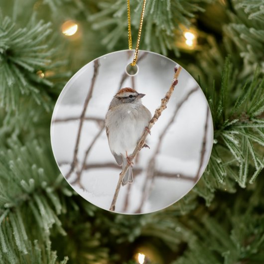 Chipping Sparrow | KERAMIK Ornament (Baum)