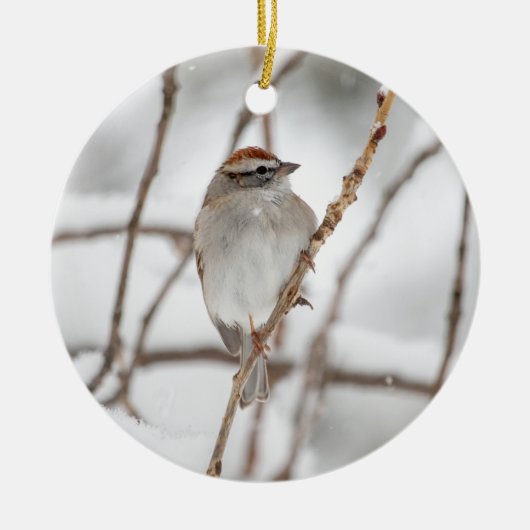 Chipping Sparrow | KERAMIK Ornament (Vorne)