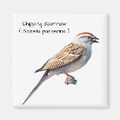 Chipping Sparrow Magnet (Vorne)