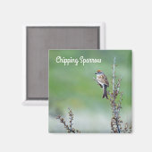 Chipping Sparrow Magnet (Vorderseite/Rückseite)