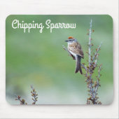 Chipping Sparrow Mousepad (Vorne)