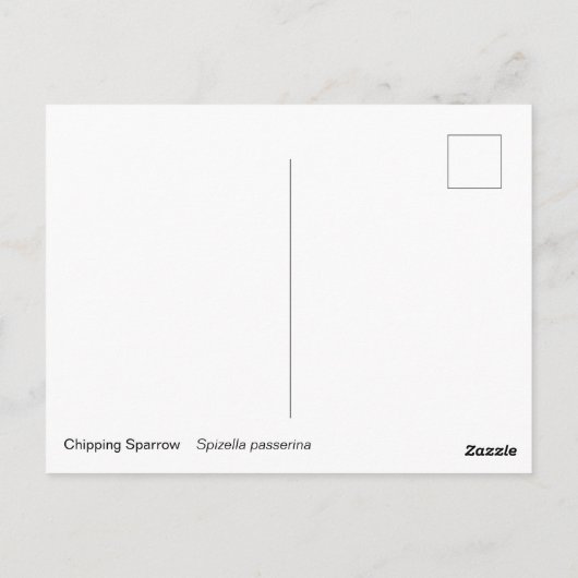 Chipping Sparrow Postkarte (Rückseite)