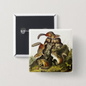 Chipping Squirrel ( Eastern Chipmunk ) von Audubon Button (Vorne & Hinten)