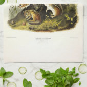 Chipping Squirrel ( Eastern Chipmunk ) von Audubon Geschirrtuch (Gefaltet)