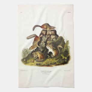 Chipping Squirrel ( Eastern Chipmunk ) von Audubon Geschirrtuch