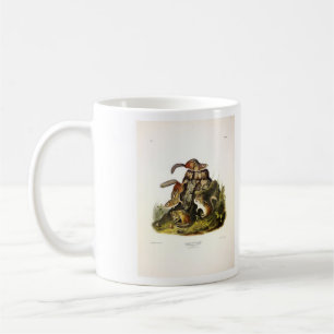 Chipping Squirrel ( Eastern Chipmunk ) von Audubon Kaffeetasse