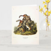 Chipping Squirrel ( Eastern Chipmunk ) von Audubon Karte (Gelbe Blume)