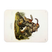 Chipping Squirrel ( Eastern Chipmunk ) von Audubon Magnet (Horizontal)