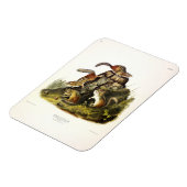 Chipping Squirrel ( Eastern Chipmunk ) von Audubon Magnet (Linke Seite)