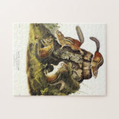 Chipping Squirrel ( Eastern Chipmunk ) von Audubon Puzzle (Horizontal)