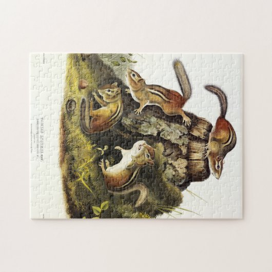 Chipping Squirrel ( Eastern Chipmunk ) von Audubon Puzzle (Horizontal)