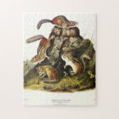 Chipping Squirrel ( Eastern Chipmunk ) von Audubon Puzzle (Vertikal)