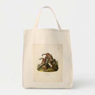Chipping Squirrel ( Eastern Chipmunk ) von Audubon Tragetasche