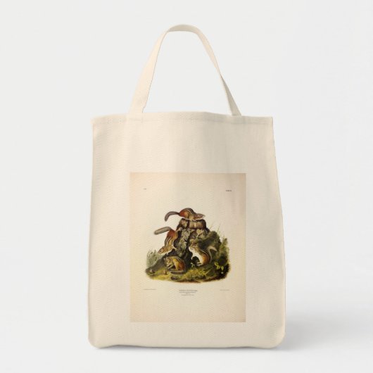 Chipping Squirrel ( Eastern Chipmunk ) von Audubon Tragetasche (Vorne)