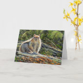 "Chippy" leere Anmerkungs-Karte Karte (Gelbe Blume)