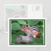 Chippy Postkarte (Vorne/Hinten)