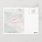 Chippy Postkarte (Rückseite)