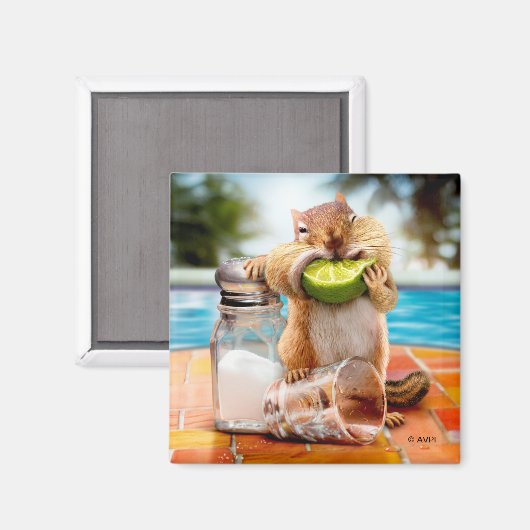 Chipsatz mit Limonen Magnet (Vorderseite/Rückseite)