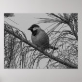 Chipsatzspange Poster (Vorne)