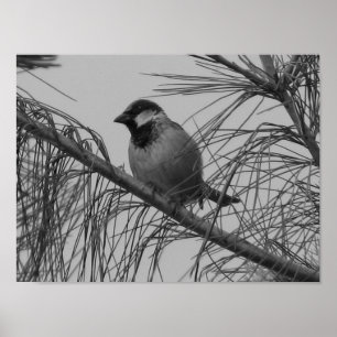 Chipsatzspange Poster