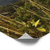 Chiricahua Mountains, AZ. Poster (Ecke)