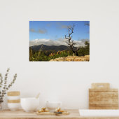 Chiricahua Mountains, AZ. Poster (Küche)
