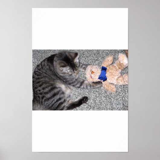 "Chiro-Cat" Poster (Vorne)