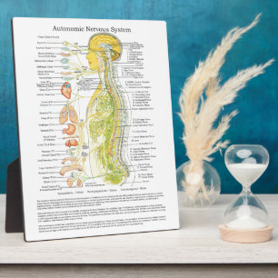 Chiropractic Autonomic Nereuch System Easel Fotoplatte