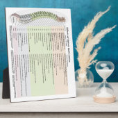 Chiropractic Effects of Spinal Subluxation Easel Fotoplatte (Seite)