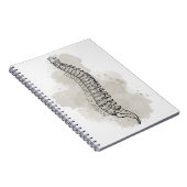 Chiropractic Notebook, Chiropraktor, Chiro Geschen Notizblock (Rechte Seite)