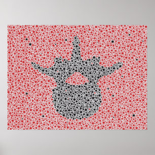 Chiropraktik-Anatomie-Grafik-lumbale Wirbel Poster