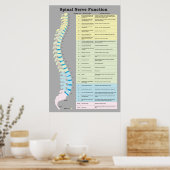 Chiropraktikum-Poster für die Funktion der Wirbels Poster (Küche)
